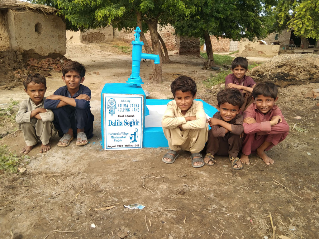 Punjab, Pakistan – Dalila Seghir – FZHH Water Well# 741