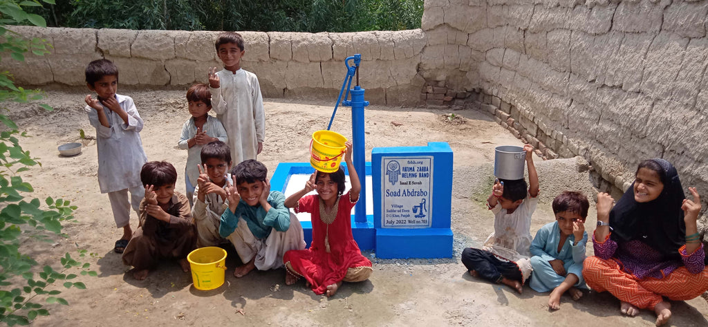 Punjab, Pakistan – Soad Abdrabo – FZHH Water Well# 703