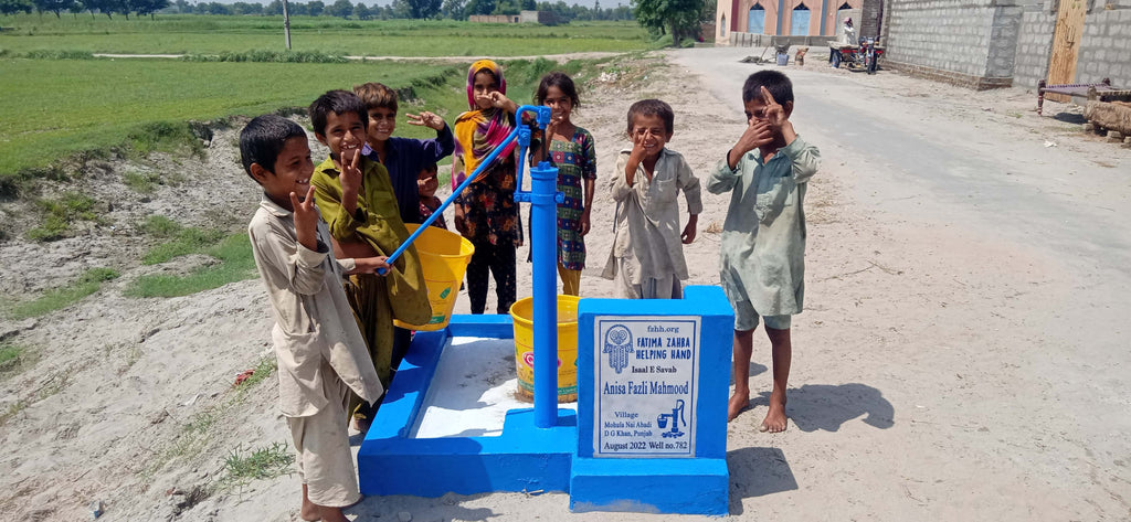 Punjab, Pakistan – Anisa Fazli Mahmood – FZHH Water Well# 782