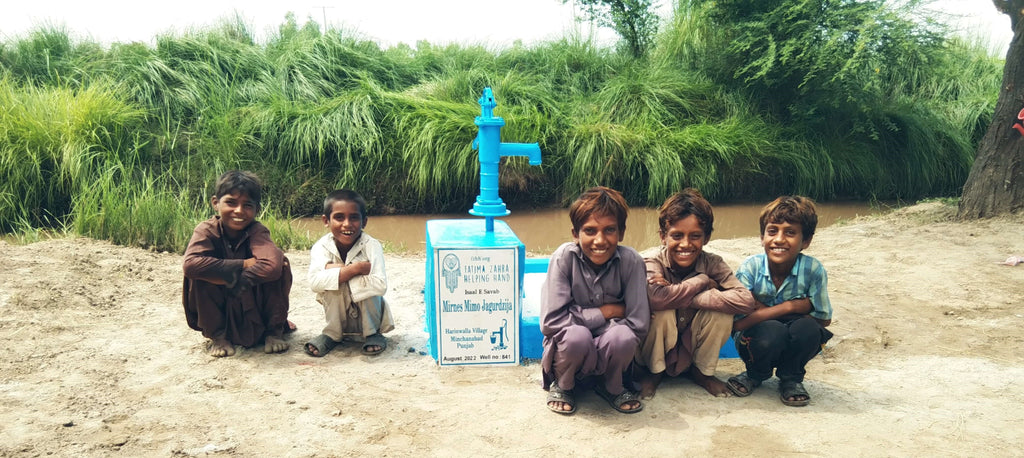 Punjab, Pakistan – Mirnes Mimo Jagurdzija – FZHH Water Well# 841