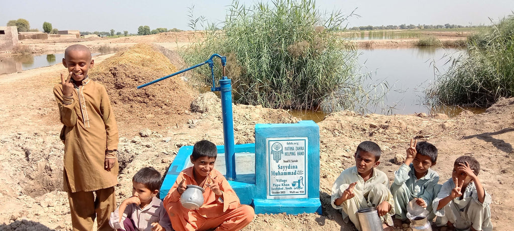 Sindh, Pakistan – Sayydina Muhammad ﷺ – FZHH Water Well# 950