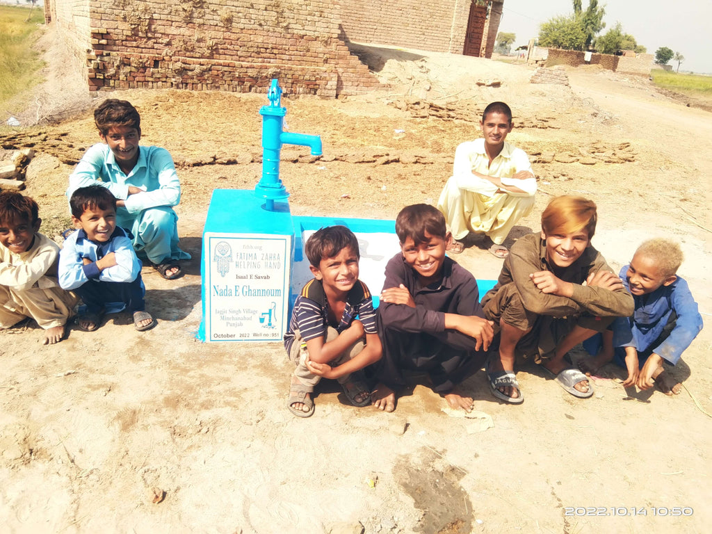 Punjab, Pakistan – Nada E Ghannoum – FZHH Water Well# 951