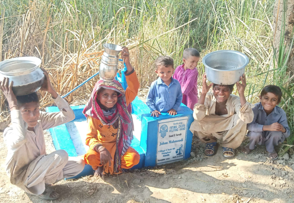 Punjab, Pakistan – Jahan Mahmoodi – FZHH Water Well# 1049