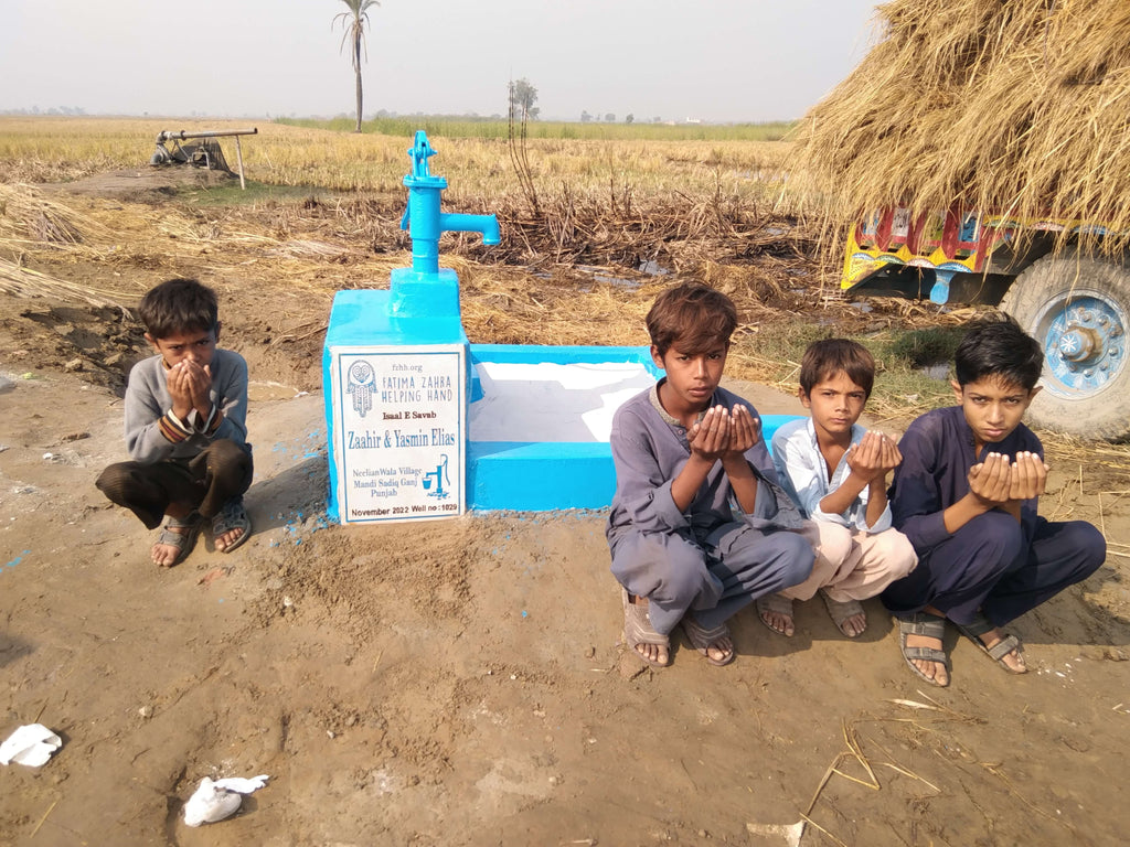 Punjab, Pakistan – Zaahir & Yasmin Elias – FZHH Water Well# 1029