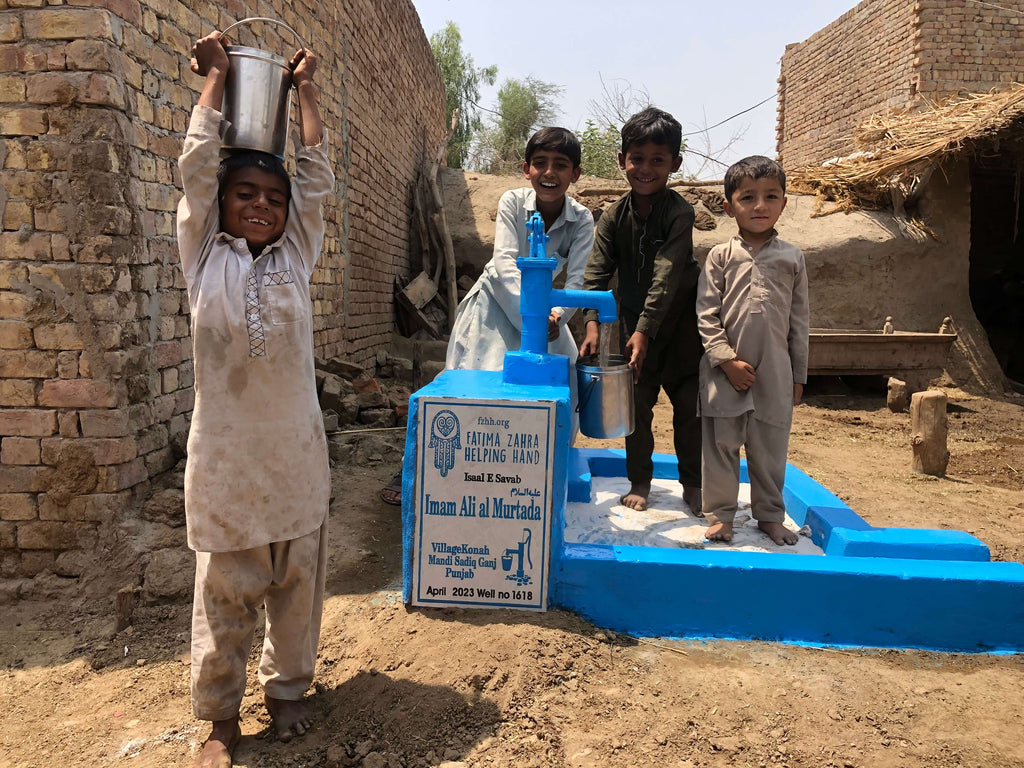 Punjab, Pakistan – Imam Ali al Murtada عليه السلام – FZHH Water Well# 1618
