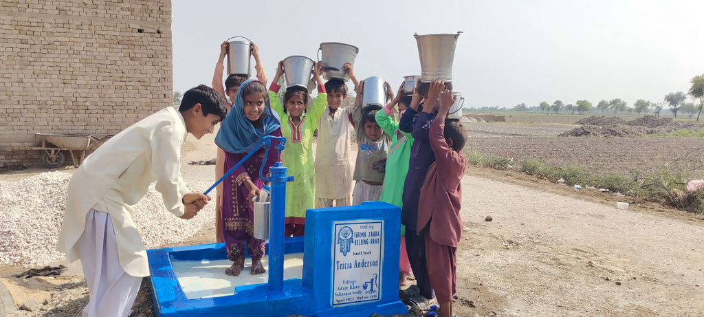 Sindh, Pakistan – Tricia Anderson – FZHH Water Well# 1636