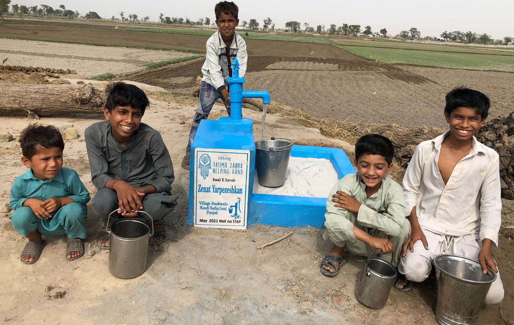 Punjab, Pakistan – Zenat Yarpezeshkan – FZHH Water Well# 1769