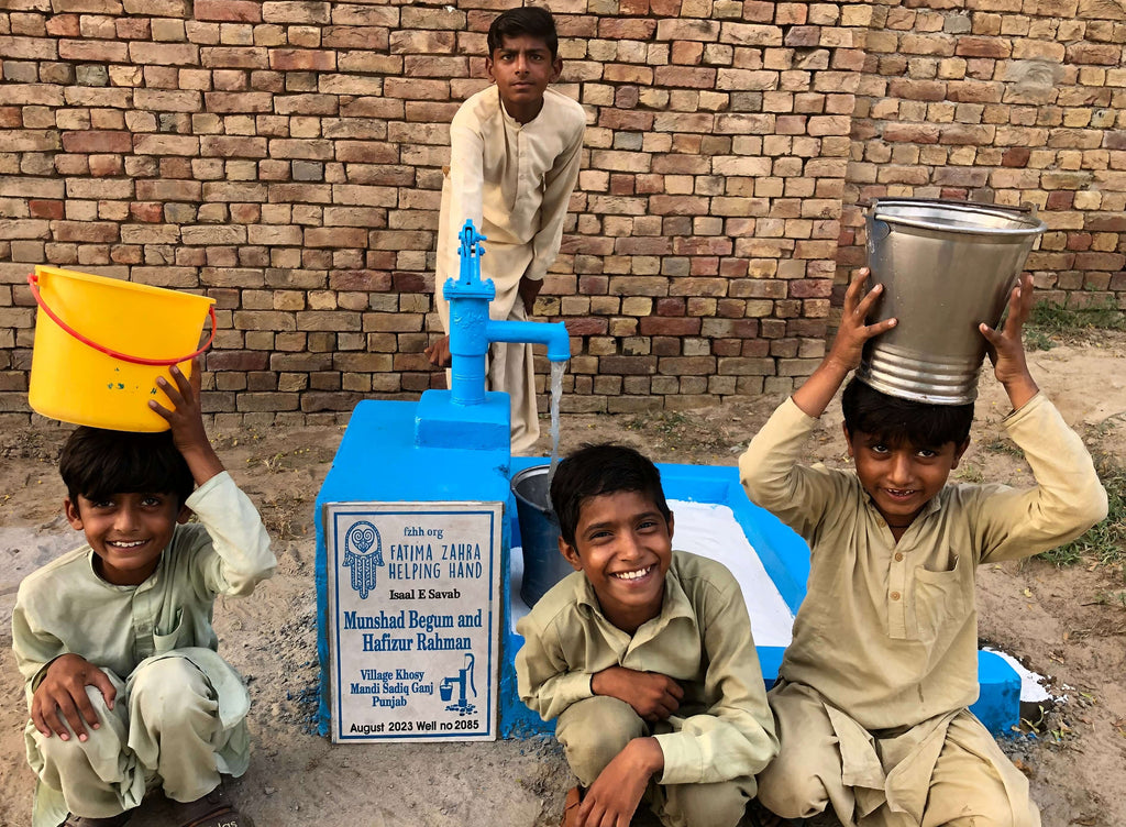 Punjab, Pakistan – Munshad Begum and Hafizur Rahman – FZHH Water Well# 2085