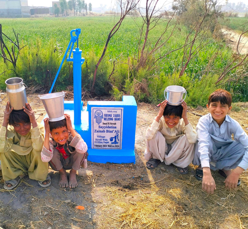 Punjab, Pakistan – Sayyidatina Zainab bint 'Ali – FZHH Water Well# 302 ...