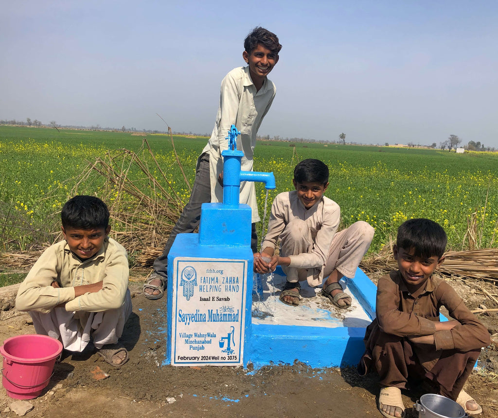 Punjab, Pakistan – Sayyedina Muhammad ﷺ – FZHH Water Well# 3075