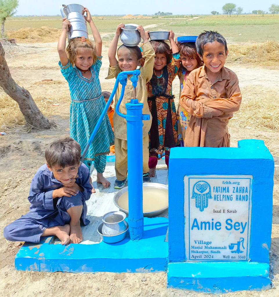 Sindh, Pakistan – Amie Sey – FZHH Water Well# 3340