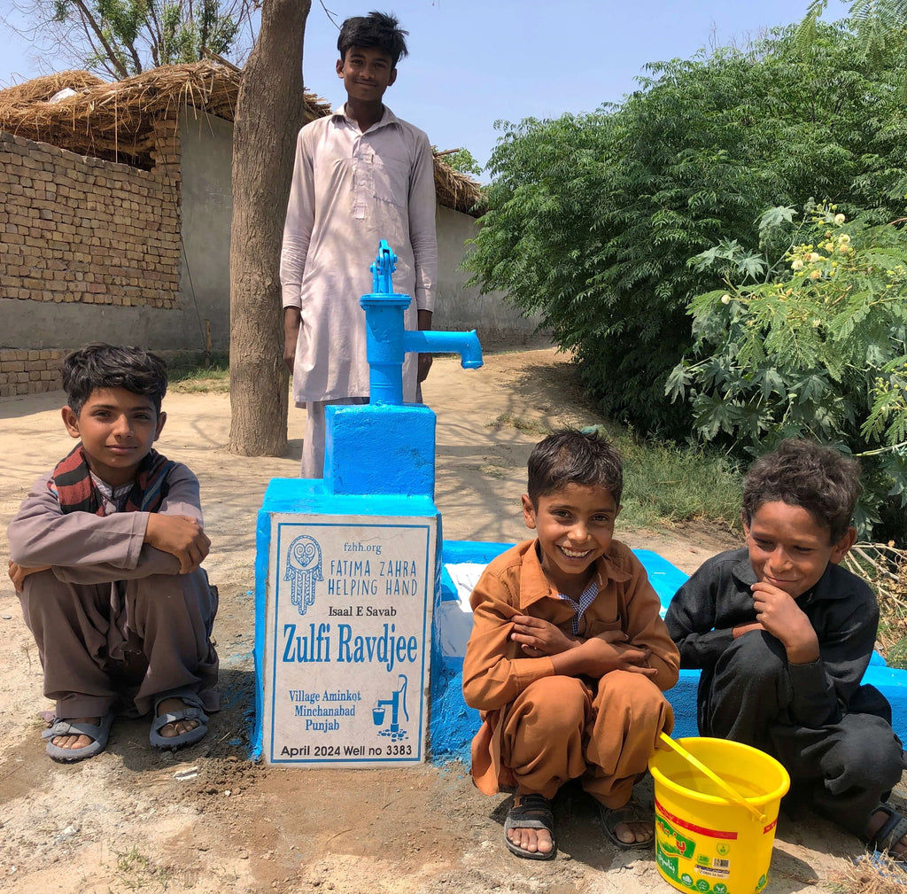 Punjab, Pakistan – Zulfi Ravdjee – FZHH Water Well# 3383