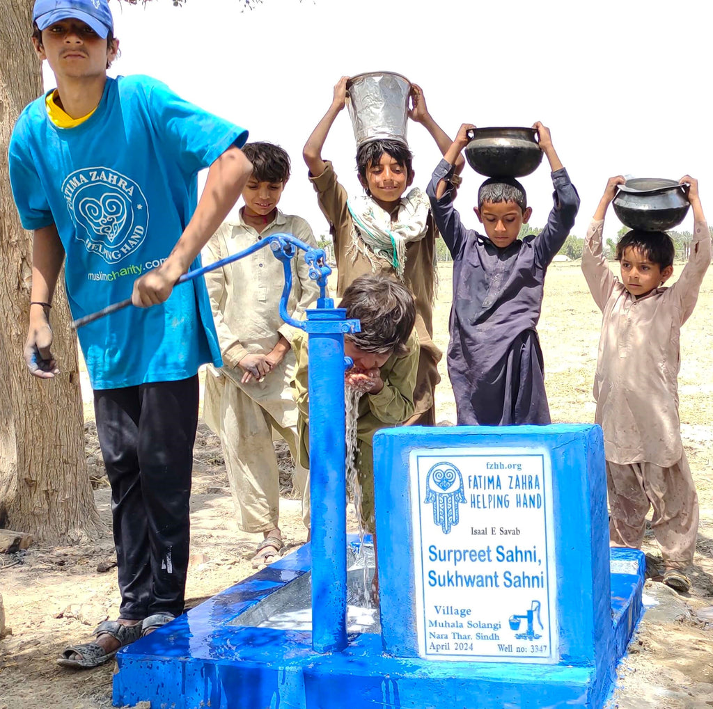 Sindh, Pakistan – Surpreet Sahni, Sukhwant Sahni – FZHH Water Well# 3347