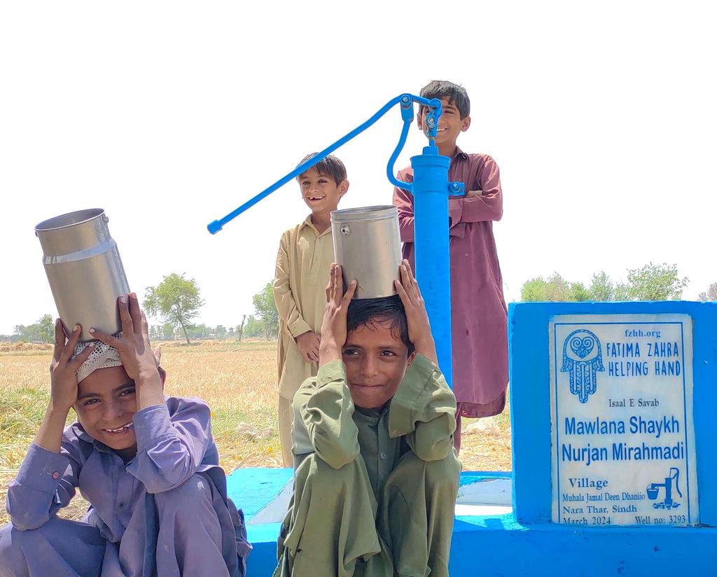 Sindh, Pakistan – Mawlana Shaykh Nurjan Mirahmadi – FZHH Water Well# 3293