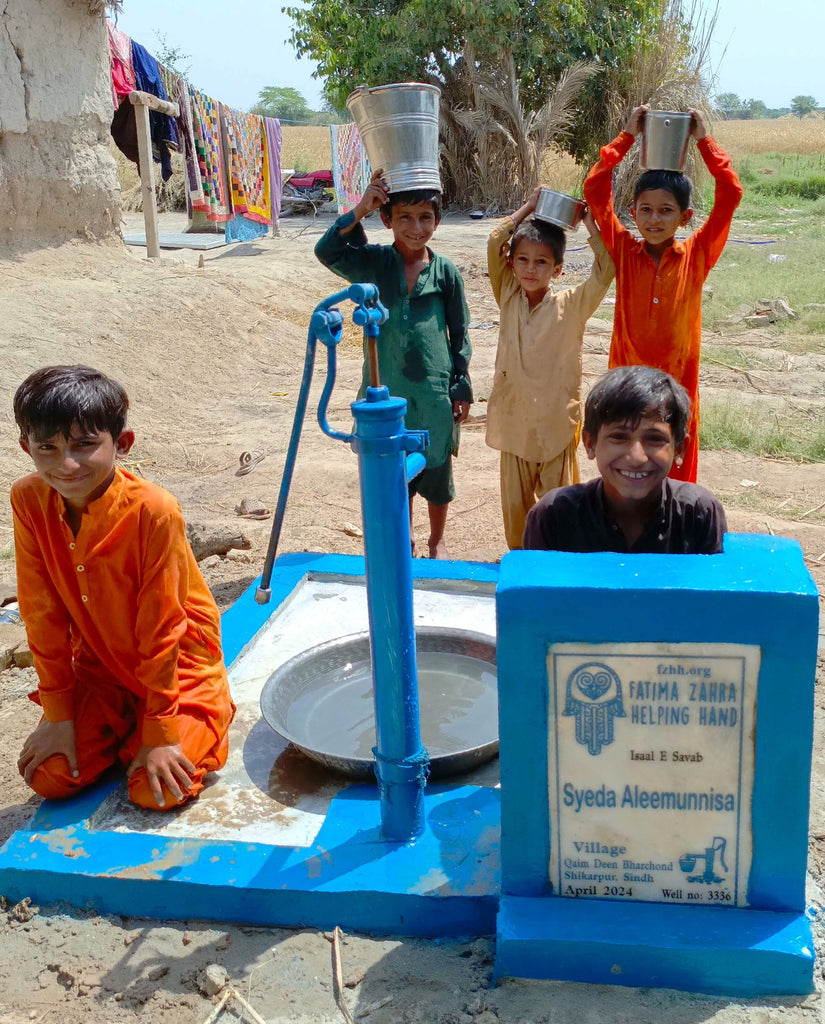 Sindh, Pakistan – Syeda Aleemunnisa – FZHH Water Well# 3336