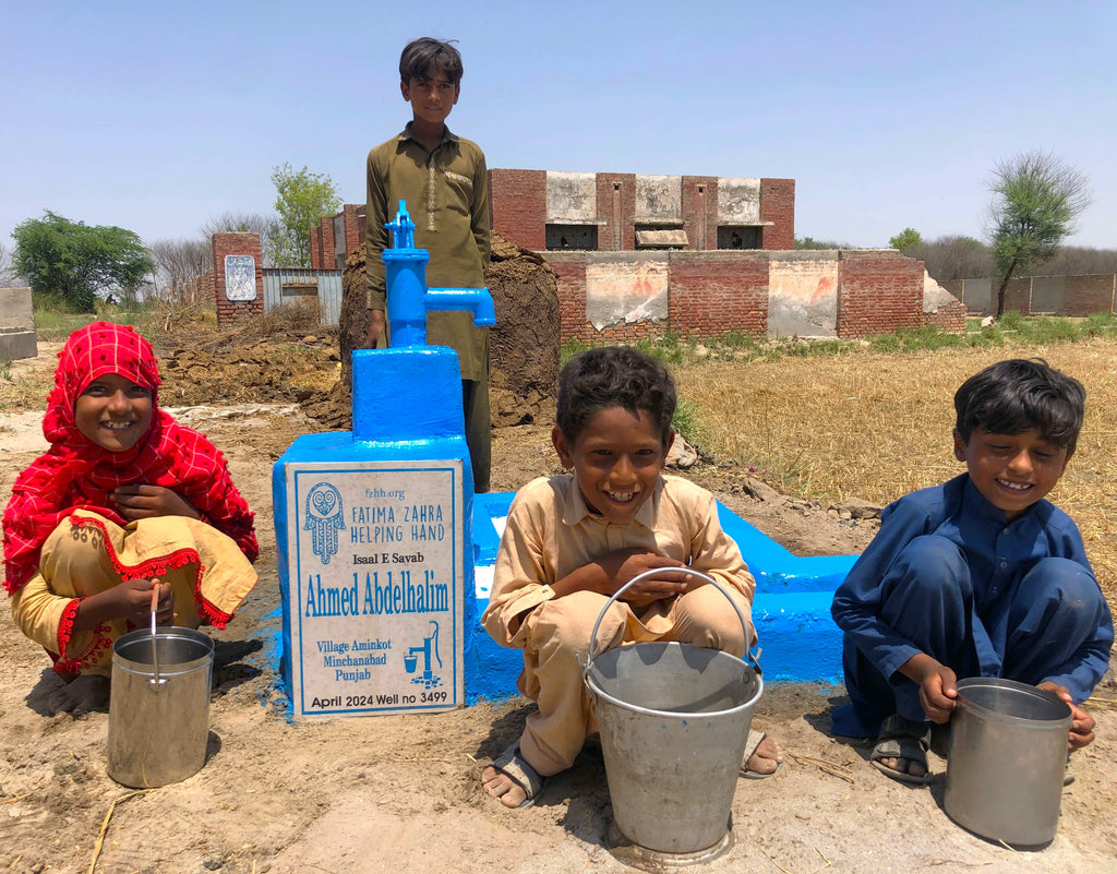 Punjab, Pakistan – Ahmed Abdelhalim – FZHH Water Well# 3499