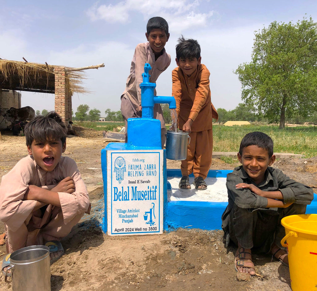 Punjab, Pakistan – Belal Museitif – FZHH Water Well# 3500