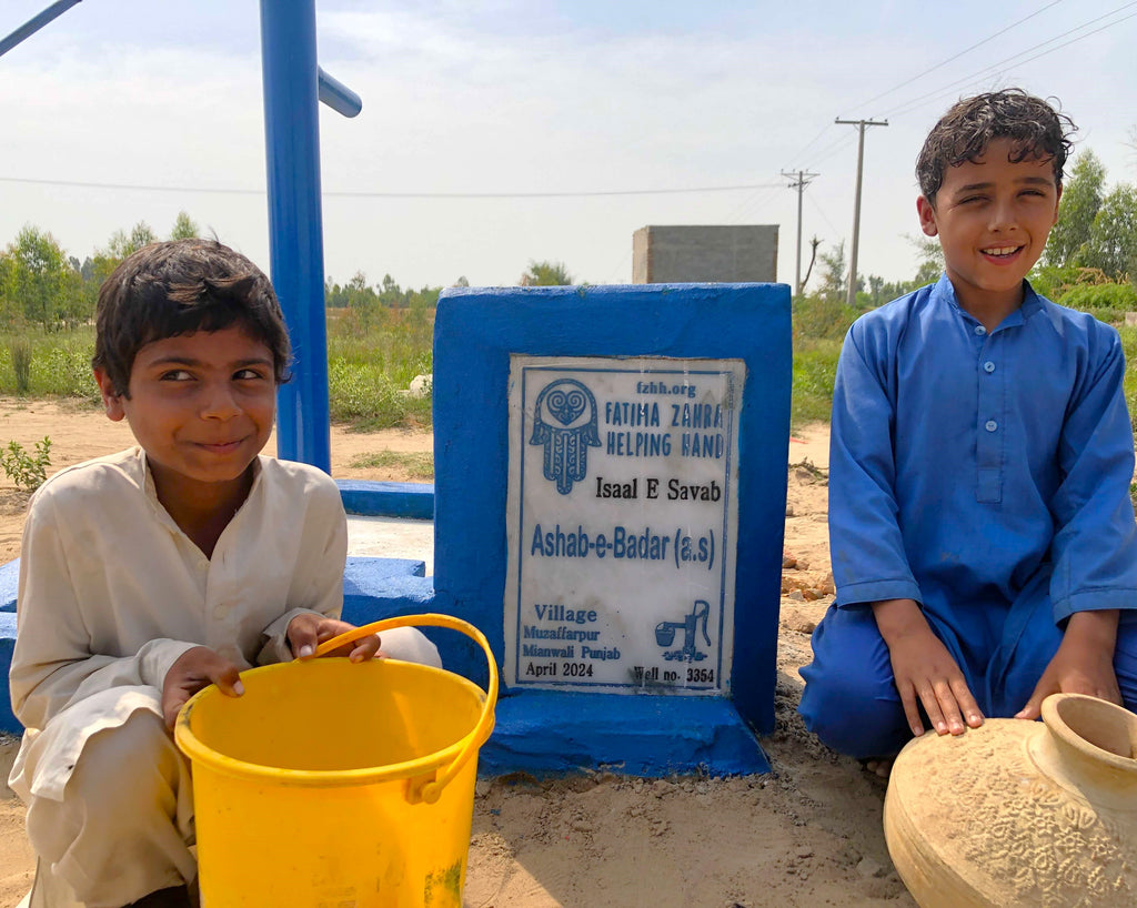 Punjab, Pakistan – Ashab-e-Badar (a.s) – FZHH Water Well# 3354