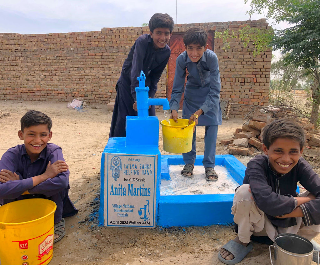 Punjab, Pakistan – Anita Martins – FZHH Water Well# 3374
