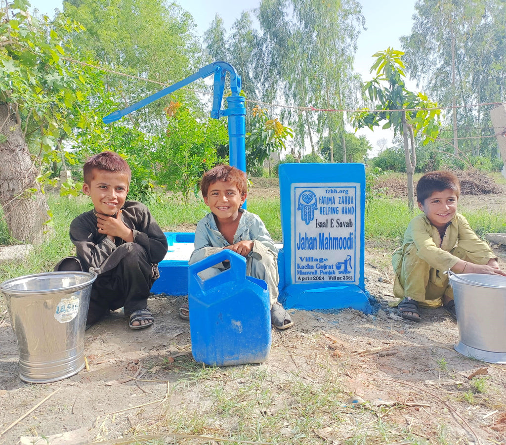 Punjab, Pakistan – Jahan Mahmoodi – FZHH Water Well# 3561