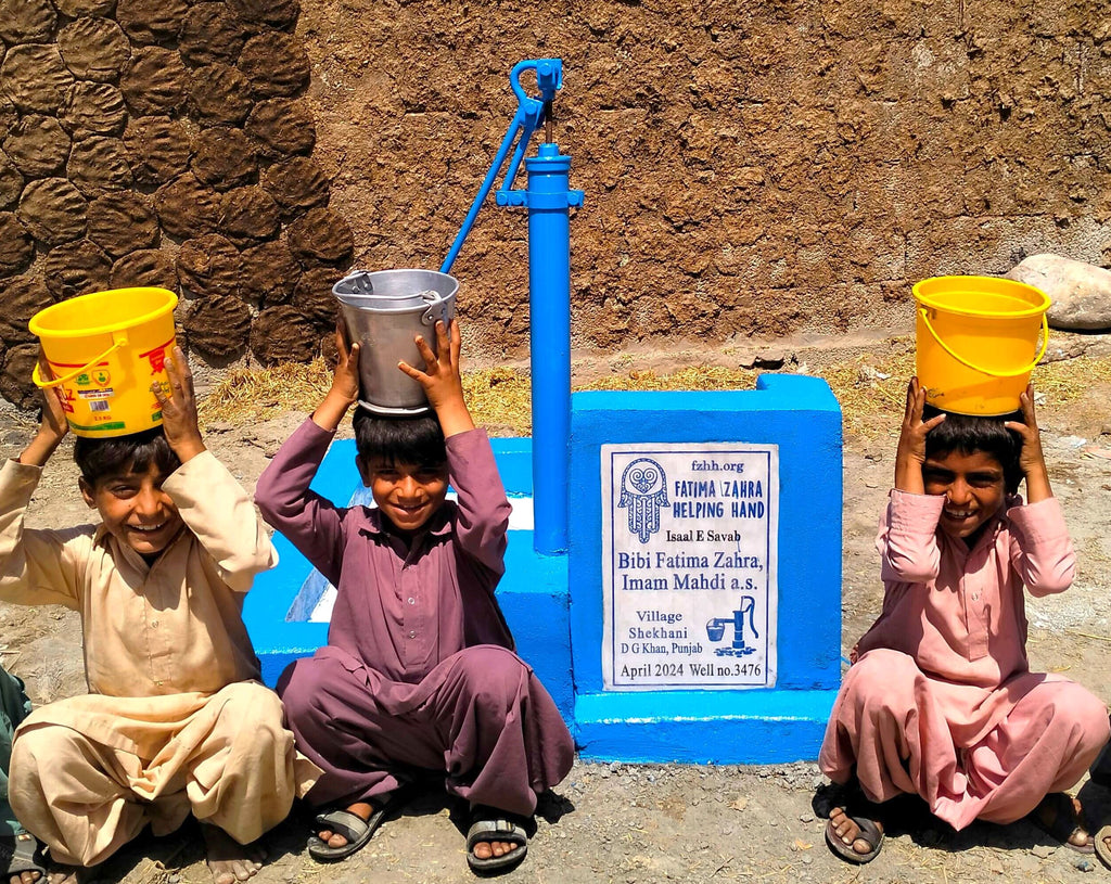 Punjab, Pakistan – Bibi Fatima Zahra, Imam Mahdi a.s. – FZHH Water Well# 3476