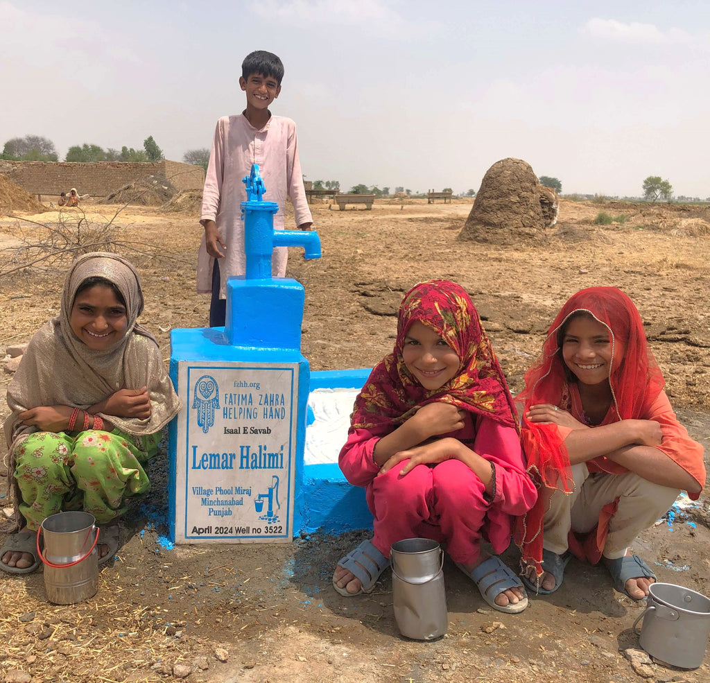 Punjab, Pakistan – Lemar Halimi – FZHH Water Well# 3522