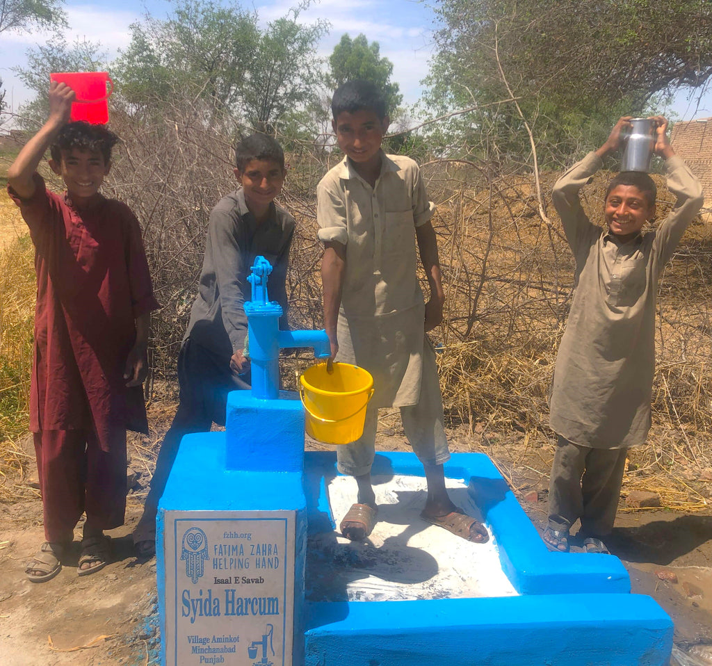 Punjab, Pakistan – Syida Harcum – FZHH Water Well# 3495