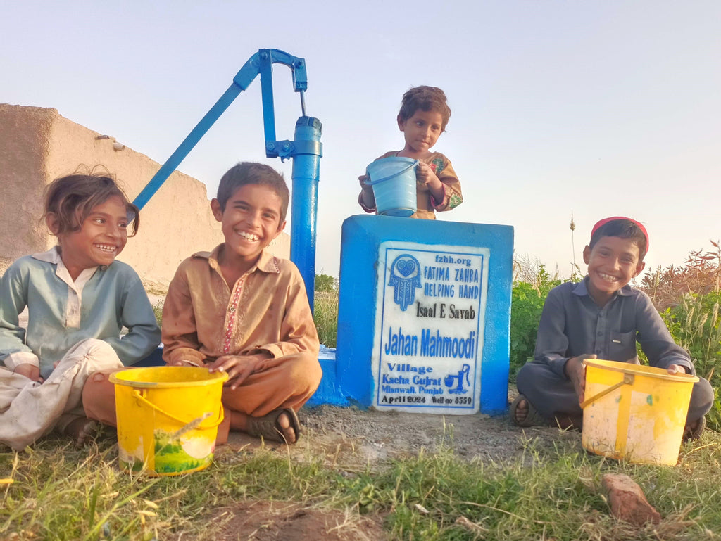 Punjab, Pakistan – Jahan Mahmoodi – FZHH Water Well# 3559