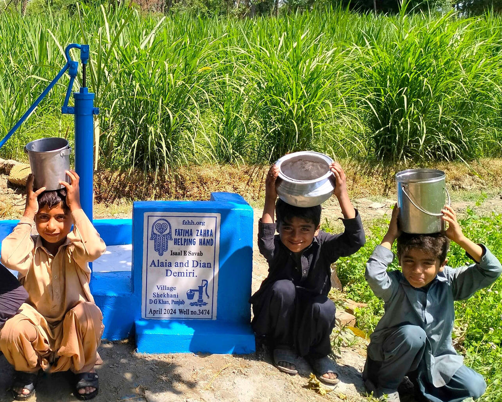 Punjab, Pakistan – Alaia and Dian Demiri – FZHH Water Well# 3474