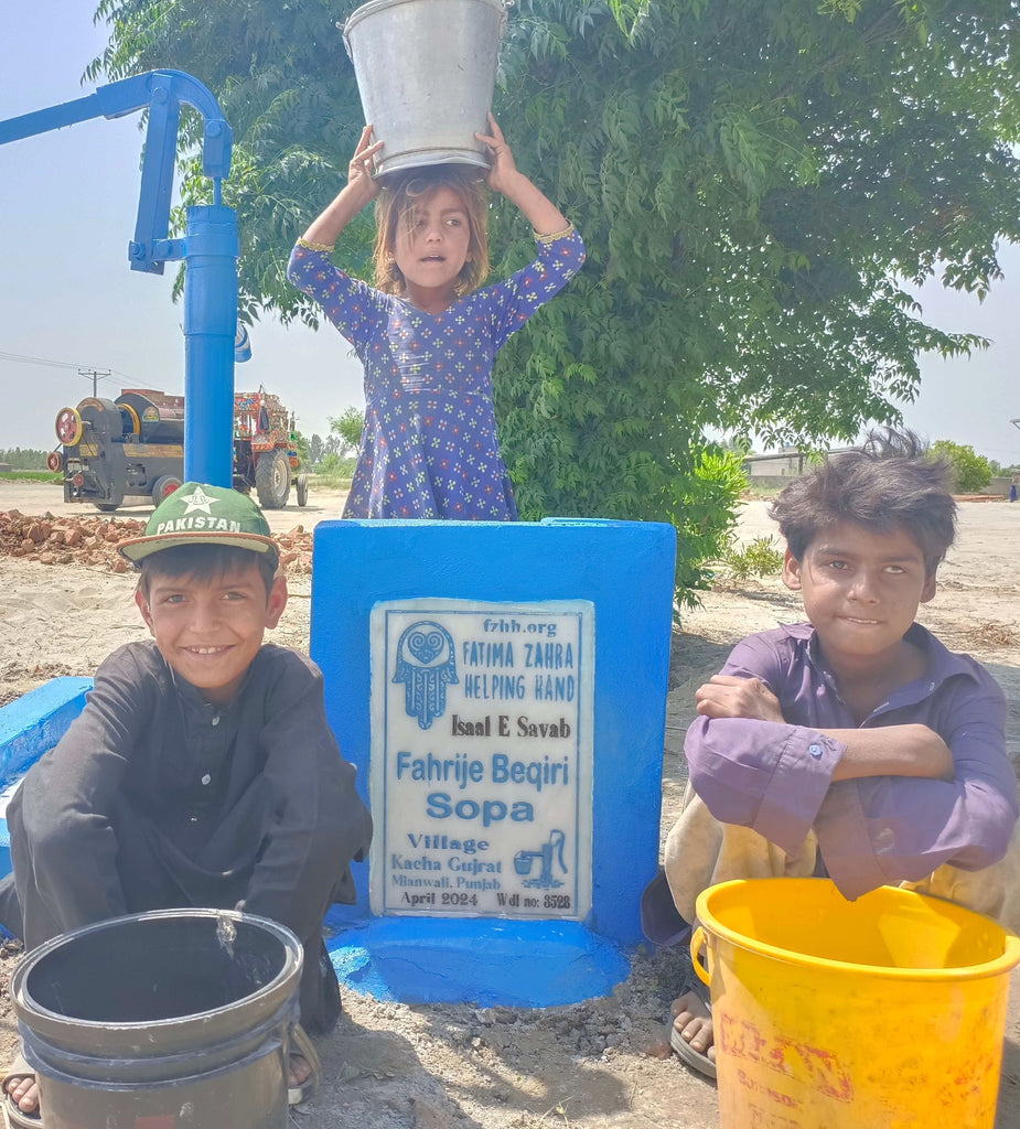 Punjab, Pakistan – Fahrije Beqiri Sopa – FZHH Water Well# 3528