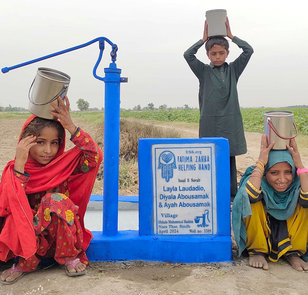 Sindh, Pakistan – Layla Laudadio, Diyala Abousamak & Ayah Abousamak – FZHH Water Well# 3389