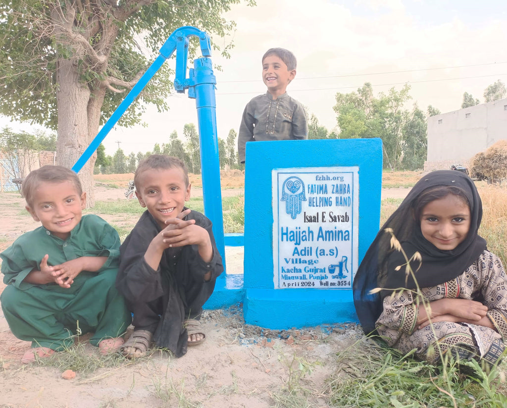 Punjab, Pakistan – Hajjah Amina Adil (a.s) – FZHH Water Well# 3554
