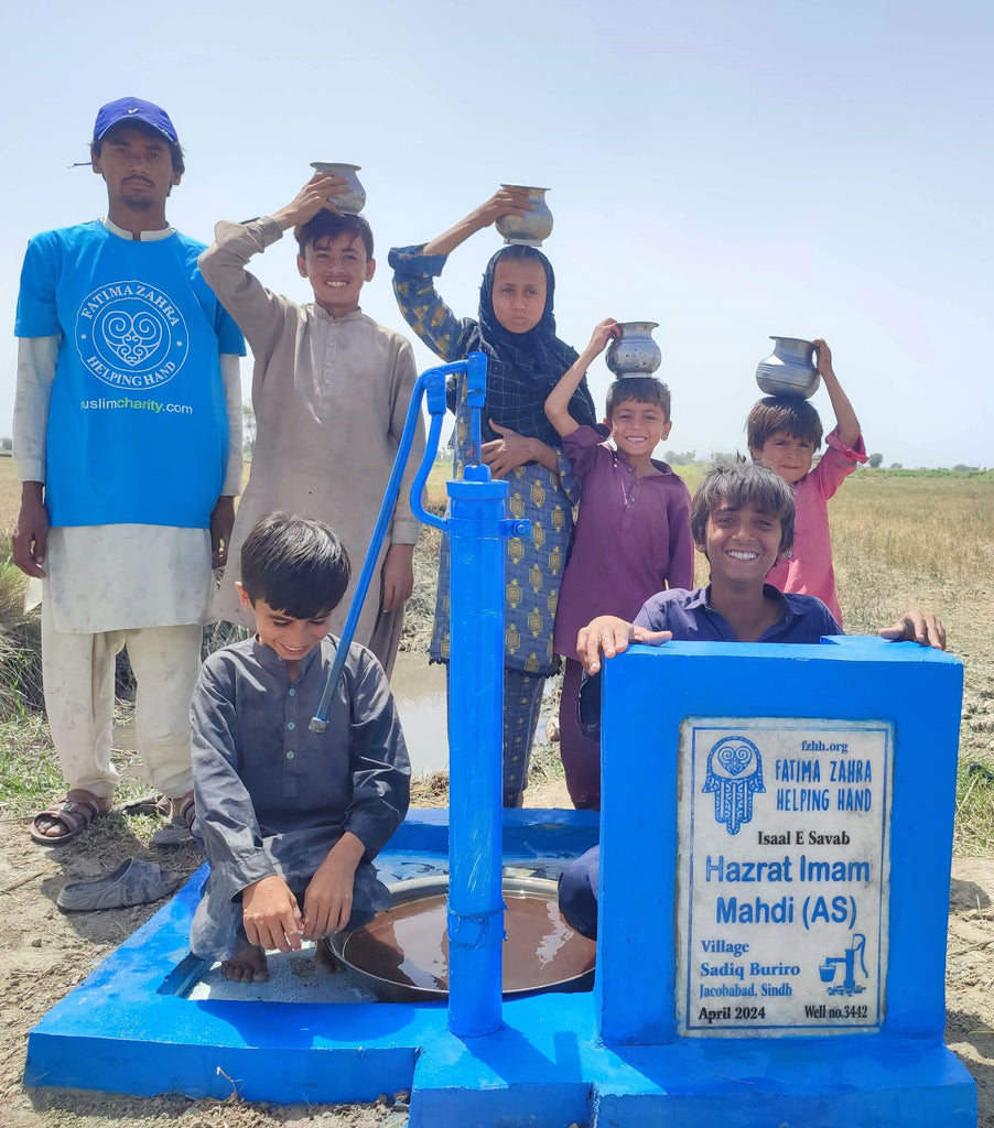 Sindh, Pakistan – Hazrat Imam Mahdi (AS) – FZHH Water Well# 3442