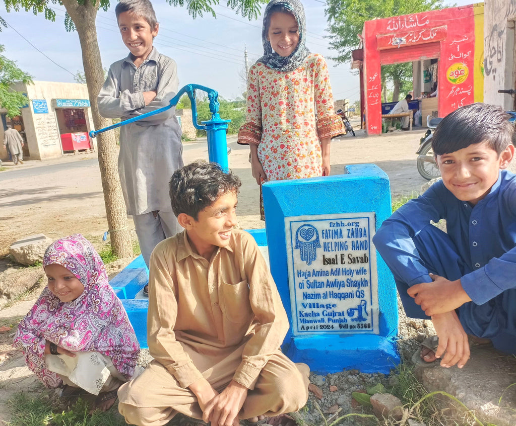 Punjab, Pakistan – Hajja Amina Adil Holy Wife of Sultan Awliya Shaykh Nazim al Haqqani (QS) – FZHH Water Well# 3565