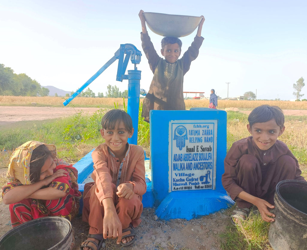 Punjab, Pakistan – ADJAB ABDELAZIZ BOUJLIFA MALIKA AND ANCESTORS – FZHH Water Well# 3562