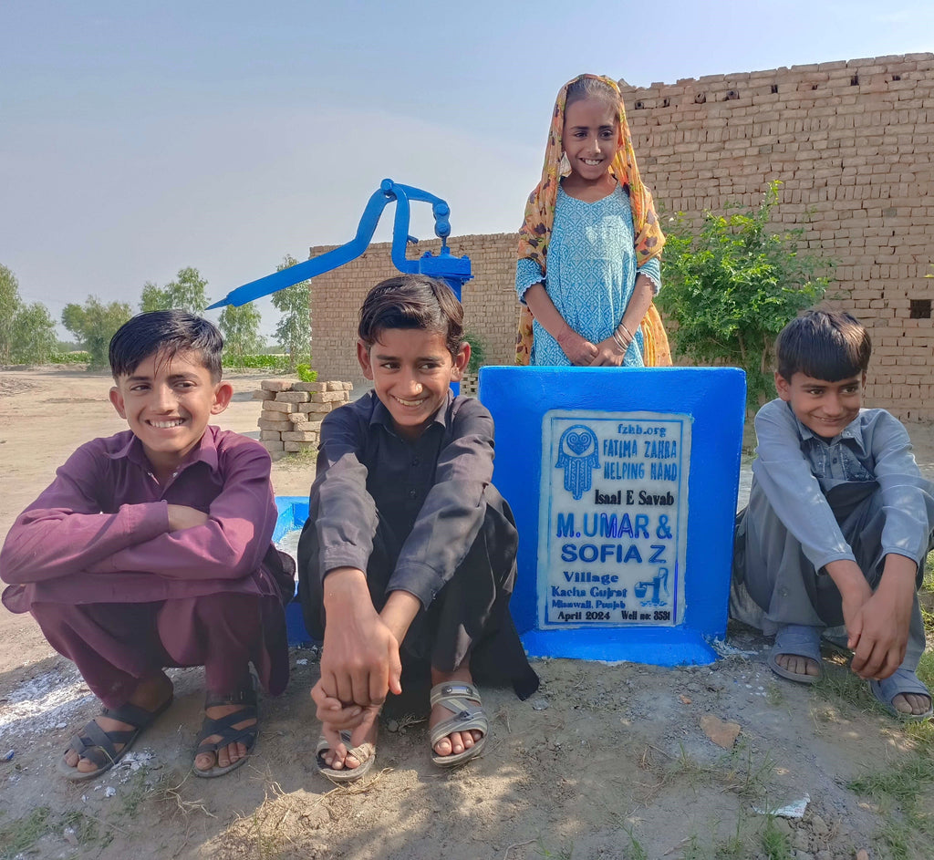 Punjab, Pakistan – M. UMAR & SOFIA Z – FZHH Water Well# 3531