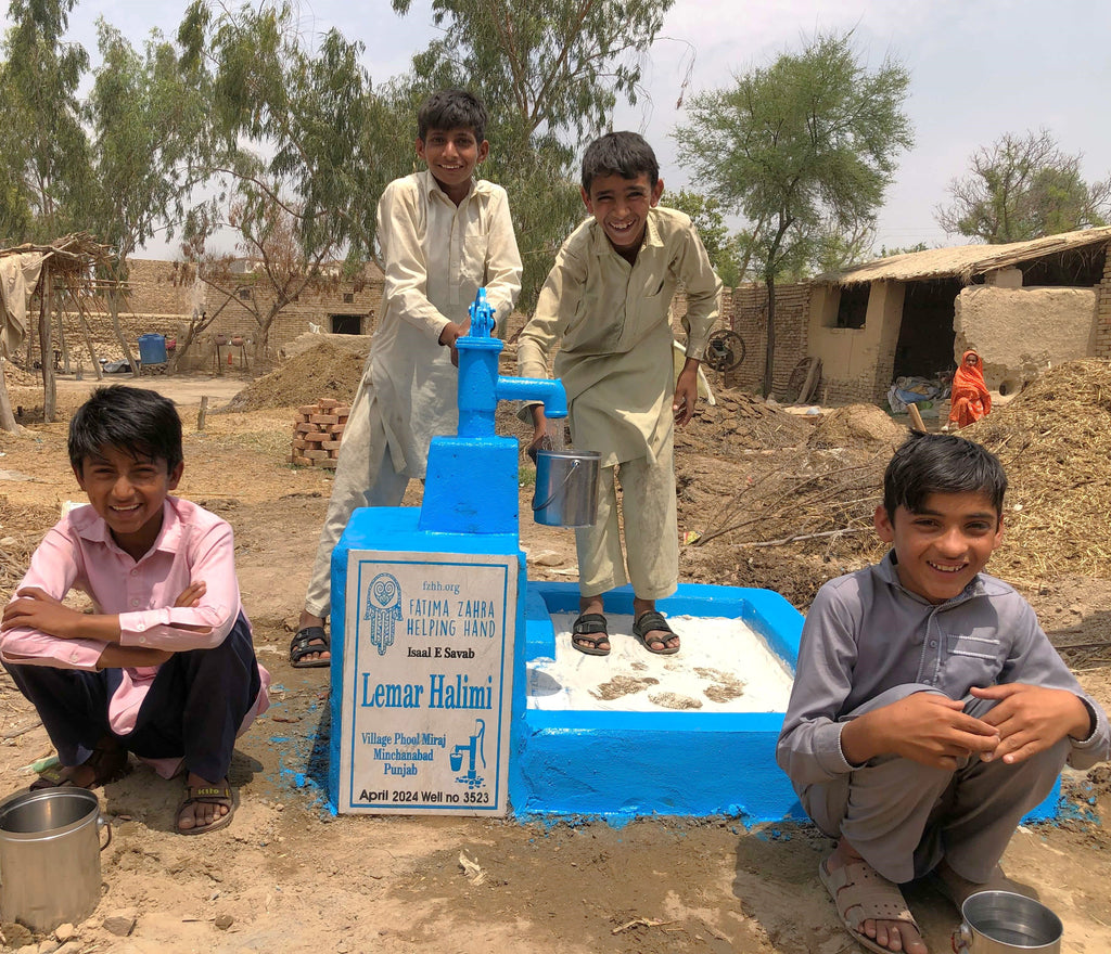 Punjab, Pakistan – Lemar Halimi – FZHH Water Well# 3523