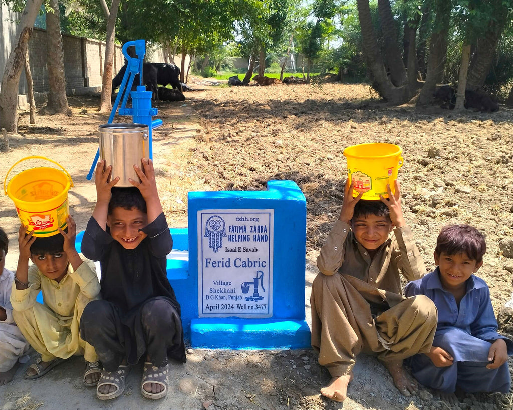 Punjab, Pakistan – Ferid Cabric – FZHH Water Well# 3477