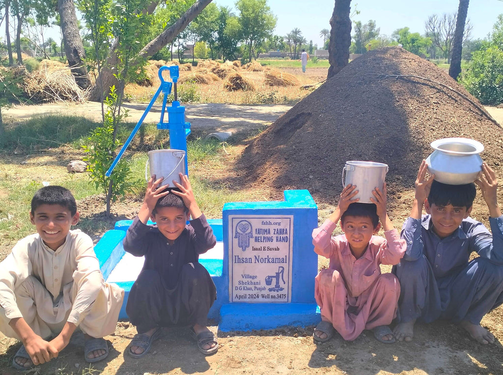 Punjab, Pakistan – Ihsan Norkamal – FZHH Water Well# 3475