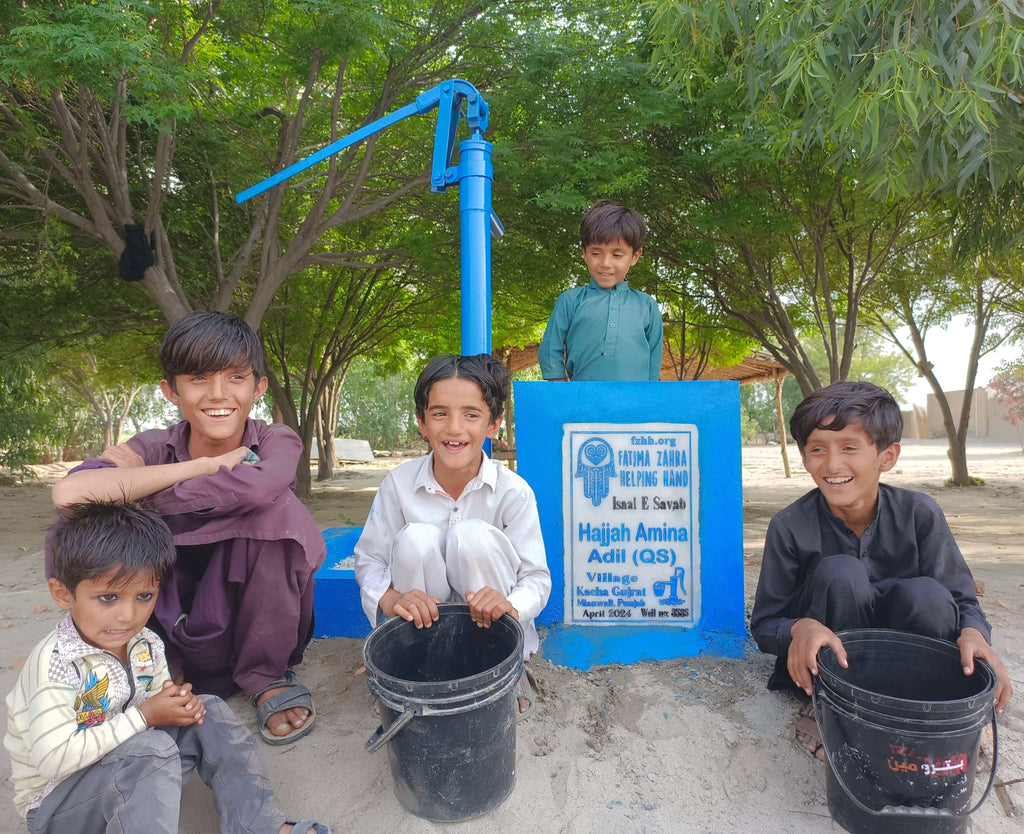 Punjab, Pakistan – Hajjah Amina Adil (QS) – FZHH Water Well# 3535