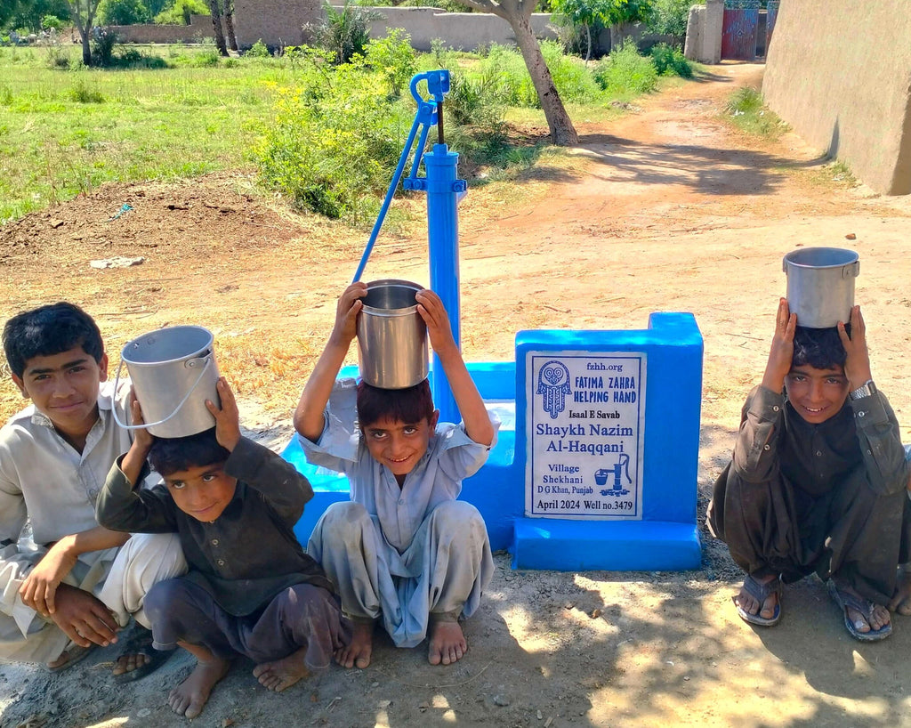 Punjab, Pakistan – Shaykh Nazim Al-Haqqani – FZHH Water Well# 3479