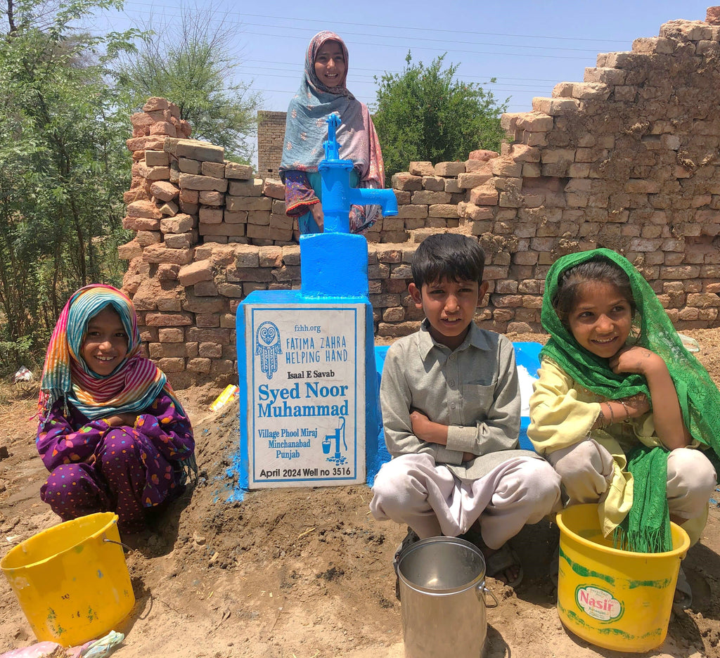 Punjab, Pakistan – Syed Noor Muhmmad – FZHH Water Well# 3516