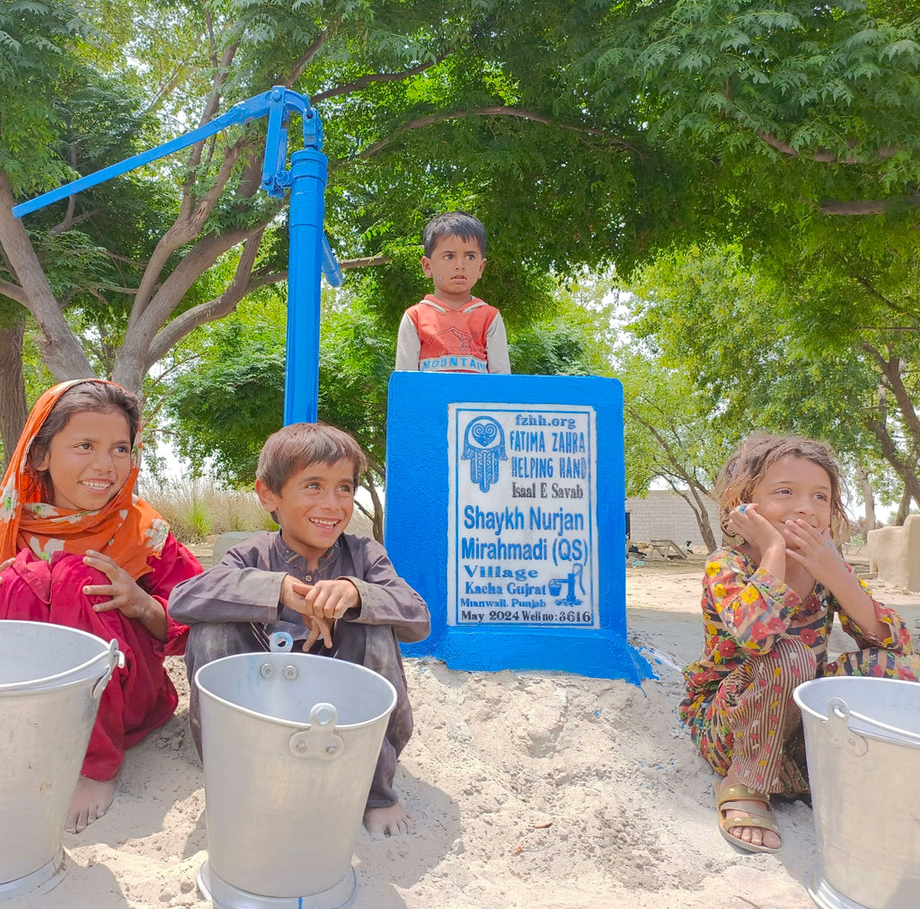 Punjab, Pakistan – Shaykh Nurjan Mirahmadi (QS) – FZHH Water Well# 3616