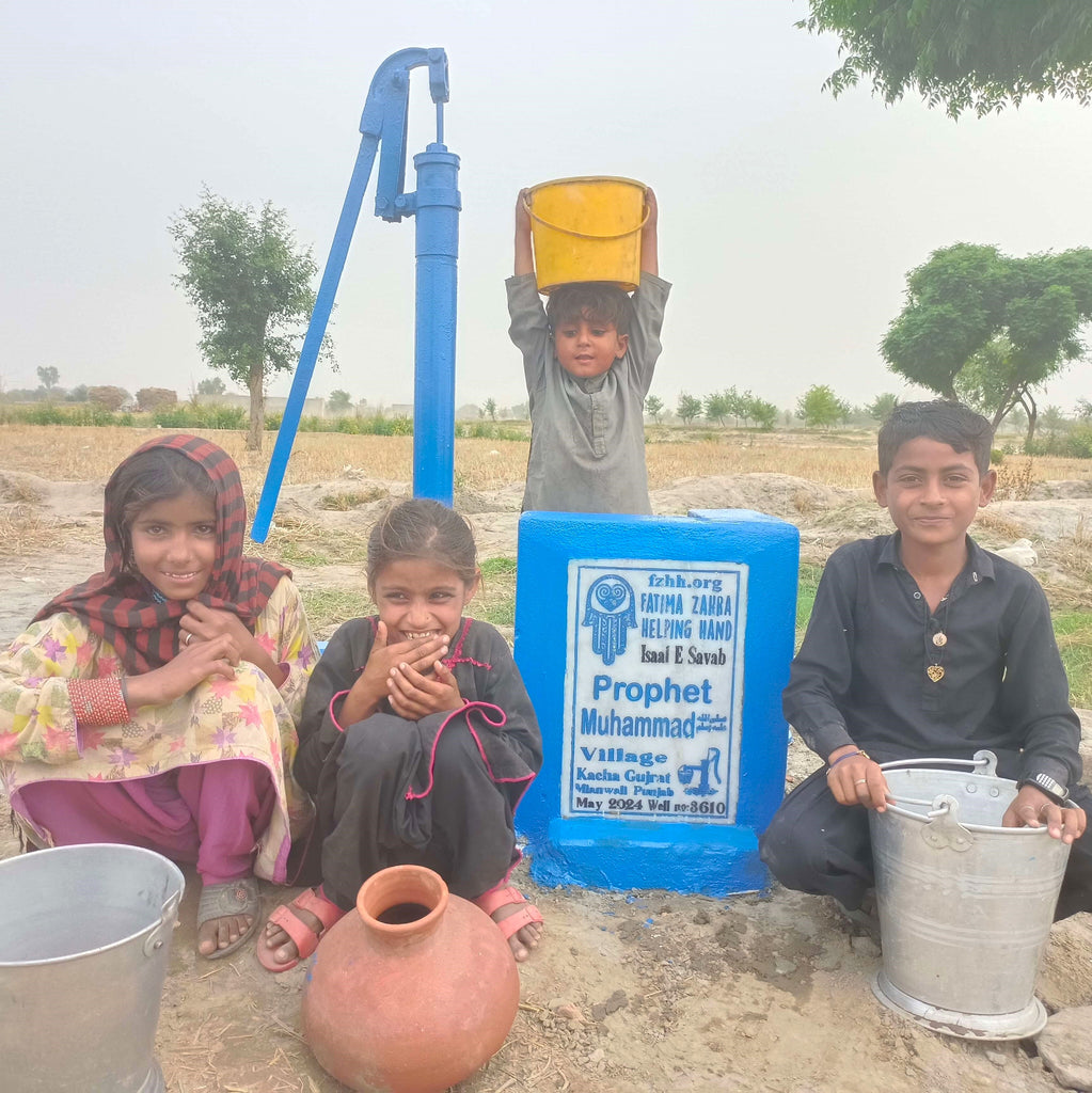 Punjab, Pakistan – Prophet Muhammad ﷺ – FZHH Water Well# 3610