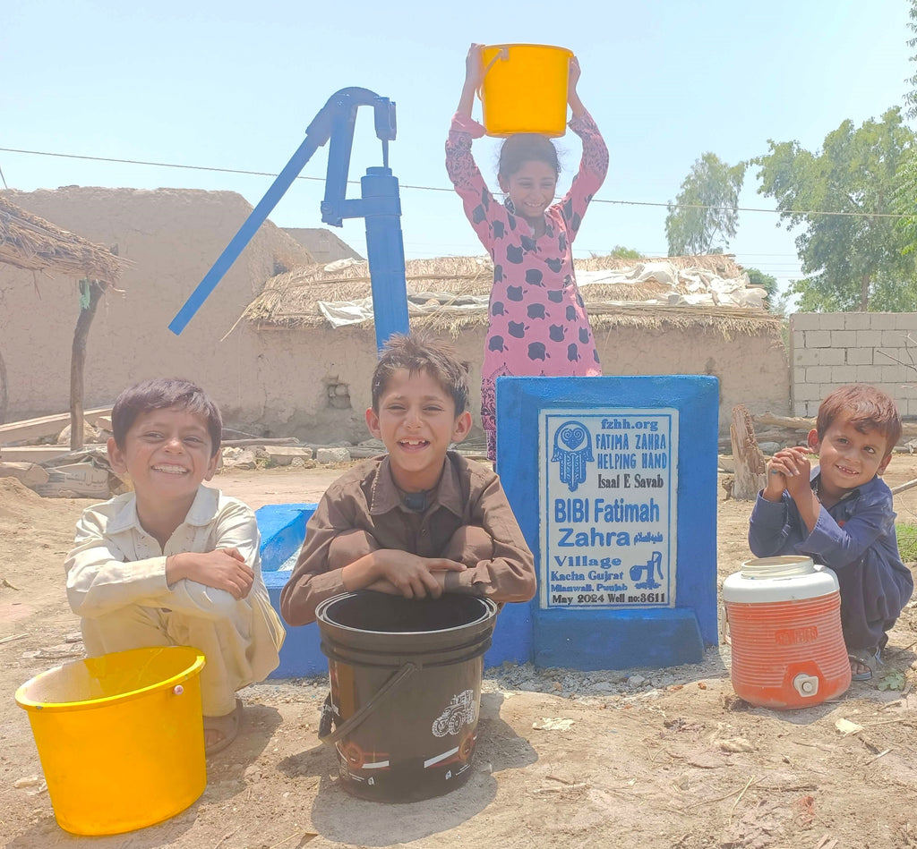 Punjab, Pakistan – BiBi Fatimah Zahra علیہ السلام – FZHH Water Well# 3611