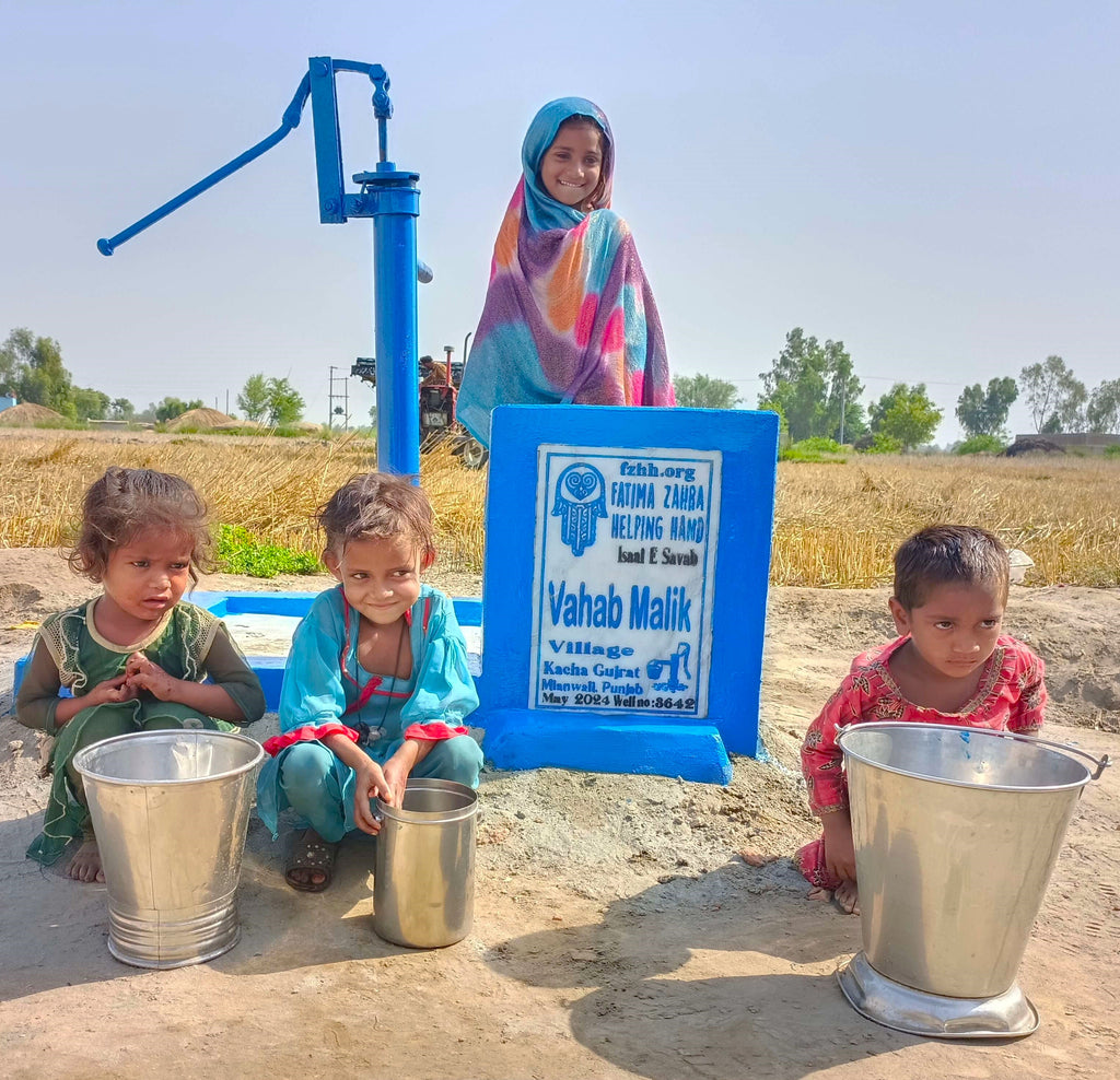 Punjab, Pakistan – Vahab Malik – FZHH Water Well# 3642