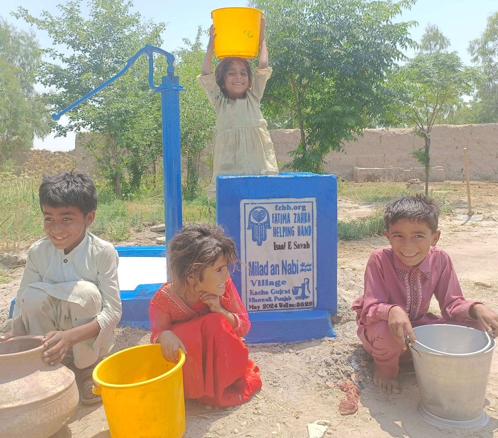 Punjab, Pakistan – Milad an Babi ﷺ – FZHH Water Well# 3625