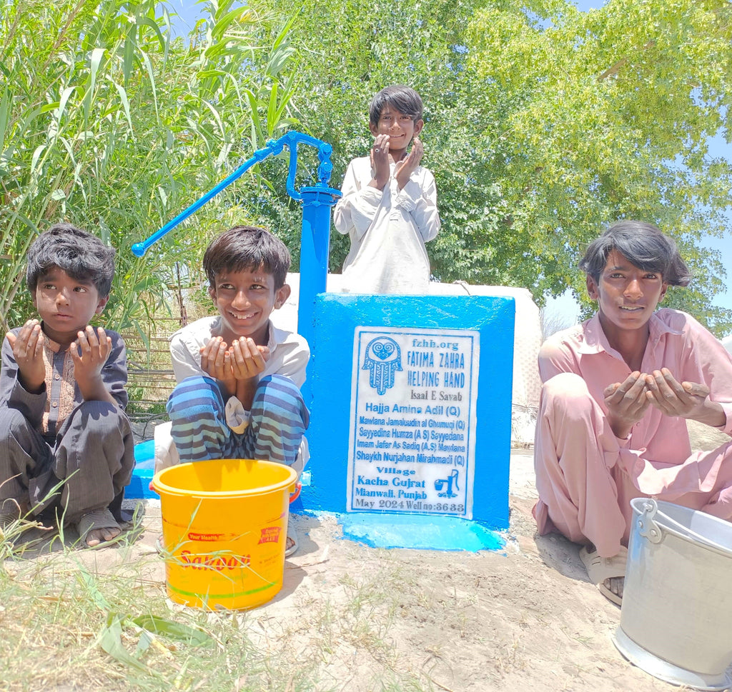 Punjab, Pakistan – Hajja Amina Adil (Q) Mawlana Jamaluudin al Ghumuqi (Q) Sayyedina Humza (A.S) Sayyedana Imam Jafar As Sadiq (AS) Mawlana Shaykh Nurjahan Mirahmadi (Q) – FZHH Water Well# 3633