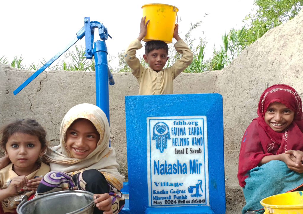 Punjab, Pakistan – Natasha Mir – FZHH Water Well# 3638