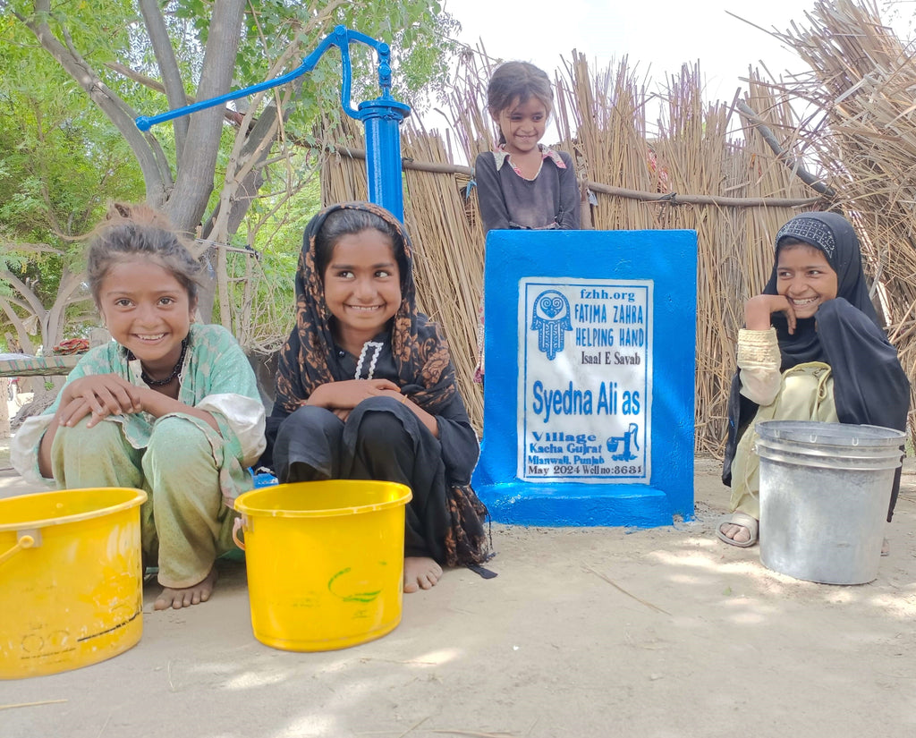 Punjab, Pakistan – Syedna Ali as – FZHH Water Well# 3631